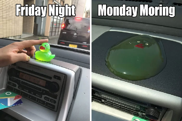 Car with green frog on dashboard