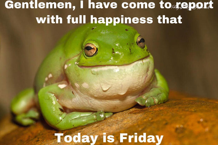 A meme of a frog with the text "today is Friday" written on it.