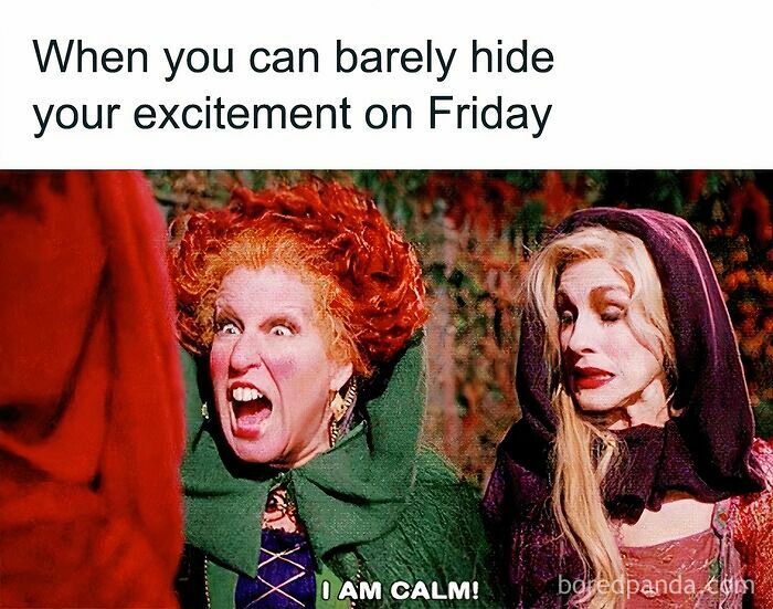 Hocus Pocus witches are excited before Friday