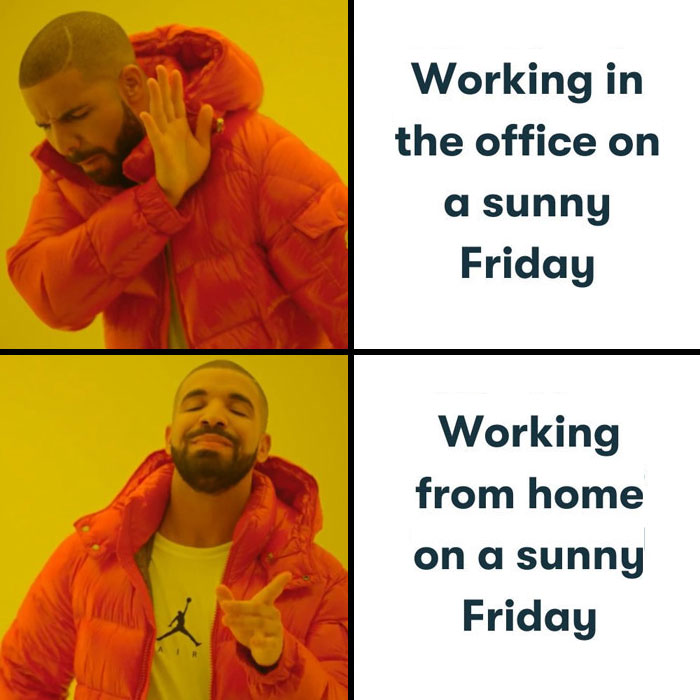 Drake approves to work from home on a sunny Friday.
