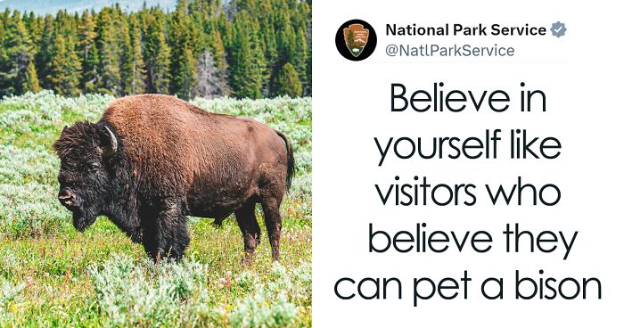 Here Are 50 Of The Best Tweets That Made People Laugh This June