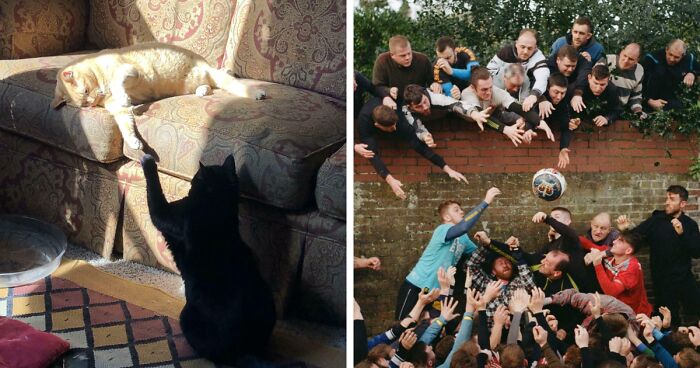 84 Moments Captured By People Where The Photos Evoke “Accidental Renaissance” (New Pics)