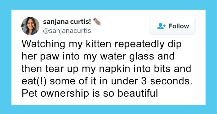 50 Cat And Dog Tweets People Shared This Month That May Put A Smile On Your Face