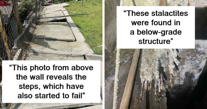 93 Times Structural Inspectors Were Unpleasantly Surprised By Their Findings (New Pics)