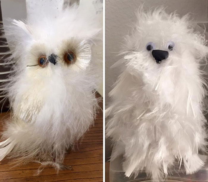 My Wife Is A Talented Artist, So She Wanted To Make The White Owl Instead Of Buying It Pre-Made