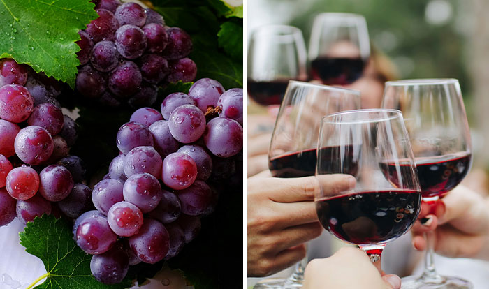 Woman Buys 109 Pounds Of Grapes For $8, Has A Horrible Day Trying To Turn Them Into Wine And Jam