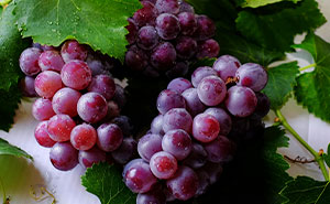 60YO Lady Gets Senior Discount, Buys 109 Pounds of Grapes For $8, Upset When Wine-Making Goes South