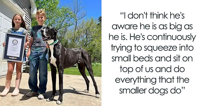 Meet Kevin, The World’s Tallest Living Dog From West Des Moines, Iowa