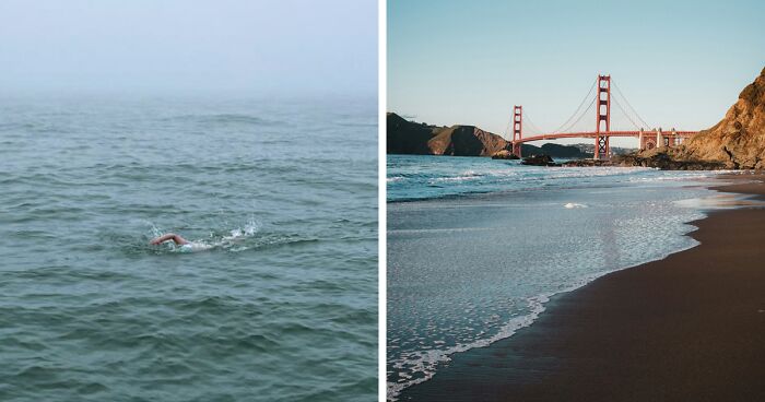 This Grandma Swam 29.7 Miles From The Golden Gate Bridge To The Farallon Islands