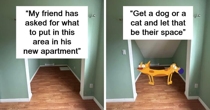 Guy's Request For Random Apartment Area Design Ideas Turns Into A Comedy Show On Twitter