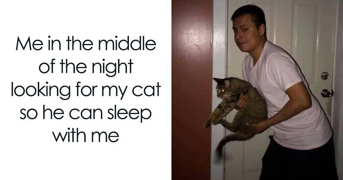 60 Hilarious Memes People Wish They Could Tag Their Cats In