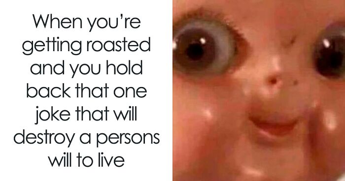 114 Funny Random Memes About Everything And Anything