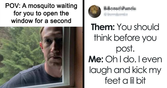 114 Hilarious Memes To Brighten Up Your Day
