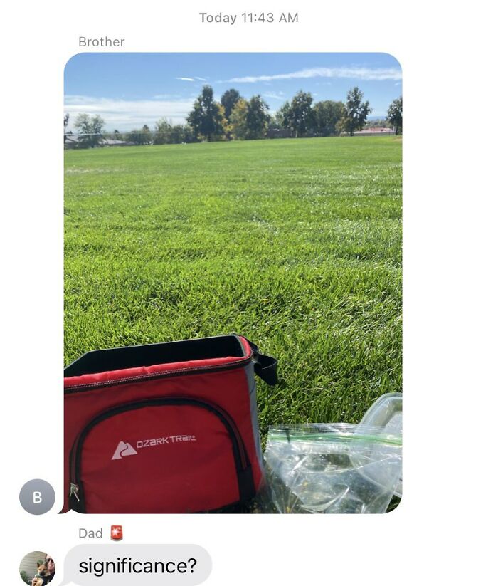 My Brother Sent A Nice Photo Of His Afternoon To The Family Group Chat And My Dad Immediately Annihilated Him
