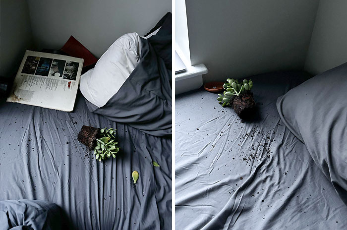 Woke Up This Morning To My Plant Falling Off My Shelf Onto My Head… And While Cleaning It Fell From The Same Place Again