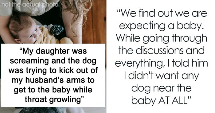 Mom Is Furious Husband Allowed A Dog Near Their Baby, Doesn’t Want To See Him In Her House