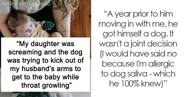  Mom Kicks Out Husband And His Mom For Letting A Dog Near The Baby