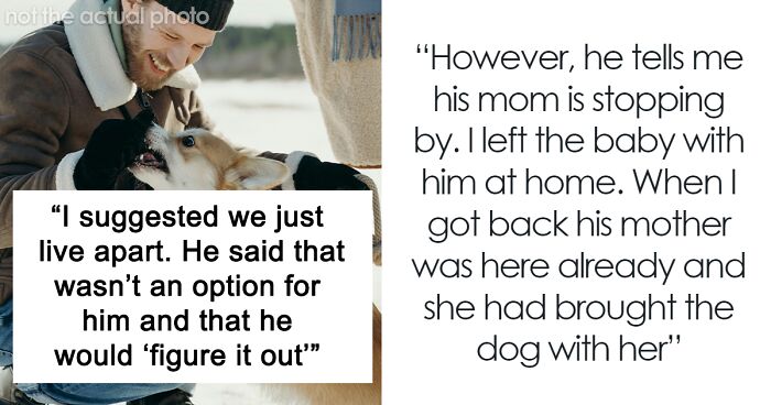 “Over 90 Missed Calls”: Woman Kicks Husband And MIL Out After They Brought A Dog Close To Baby