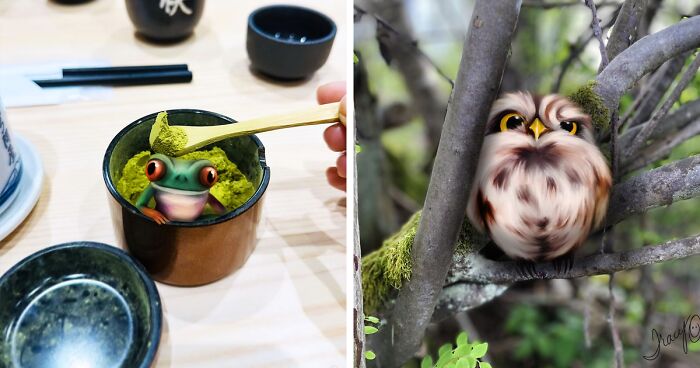 I Make Cute Art By Incorporating Drawn Animals Into Photographs (39 Pics)