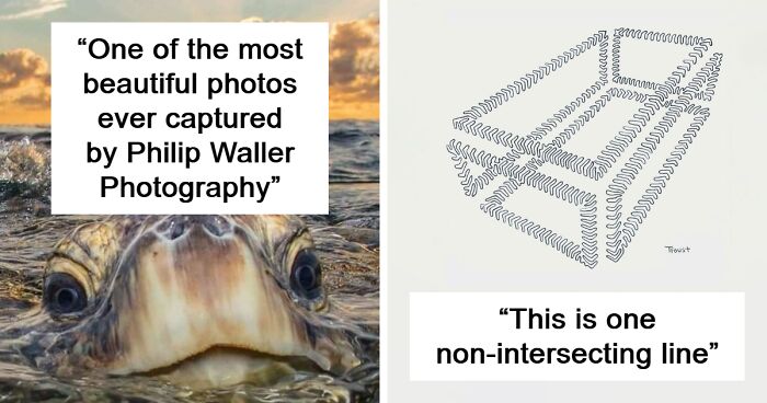 50 Hard-To-Believe Images And Facts That Are Outright Amazing (New Pics)