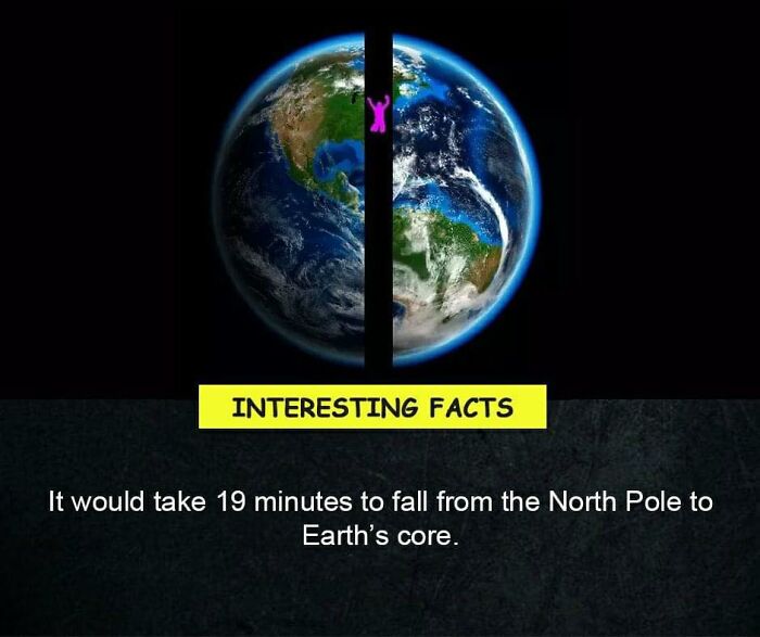 Interesting-Facts-Random