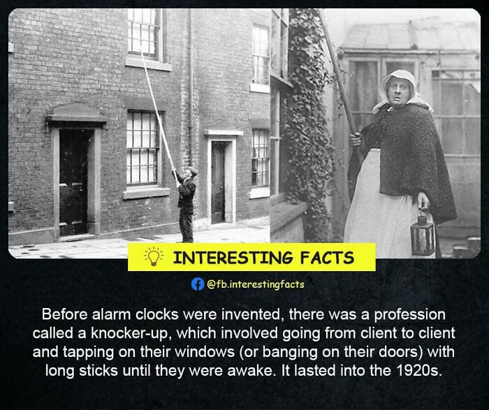 Interesting-Facts-Random