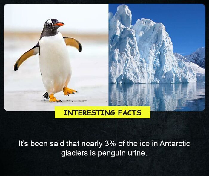 Interesting-Facts-Random