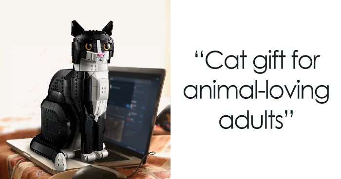 LEGO Goes Viral After It Looks Like Their Twitter Account Was Taken Over By A Cat