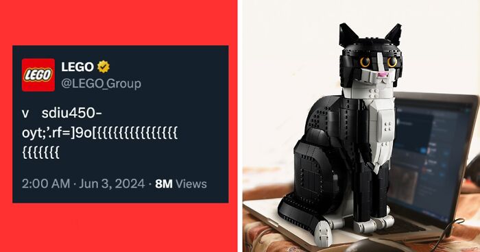 LEGO’s Simple And Successful Campaign To Advertise Its “Tuxedo Cat” Receives Praise Online