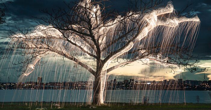 This Photographer Uses Long Exposure To Create Mysterious Pics Of Illuminated Trees (35 Pics)