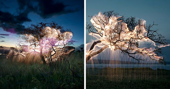 35 Spectacular Shots Of Illuminated Trees Captured By This Photographer