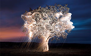 This Photographer Uses Long Exposure To Create Mysterious Pics Of Illuminated Trees (35 Pics)