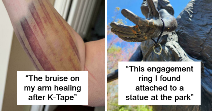 70 Times People Shared Their ‘Mildly Interesting’ Finds On This Dedicated Group (New Pics)