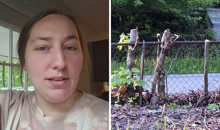 Woman Looks On In Shock As Landscapers Sent By Neighbors Enter Her Yard And Chop All Her Trees