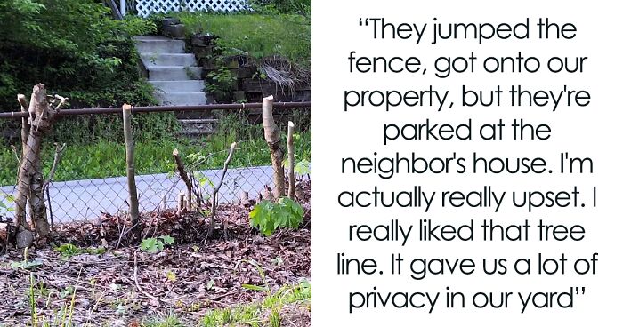 Woman Left Speechless After Having Her Tree Line Destroyed As Arranged By Her Neighbor