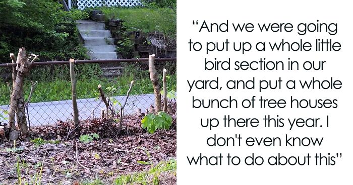 Woman Looks On In Shock As Landscapers Sent By Neighbors Enter Her Yard And Chop All Her Trees