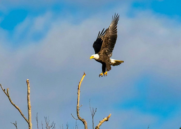 “A Bucket Of Coffee”: 30 Extremely American Things Visitors Have Seen And Experienced In The US