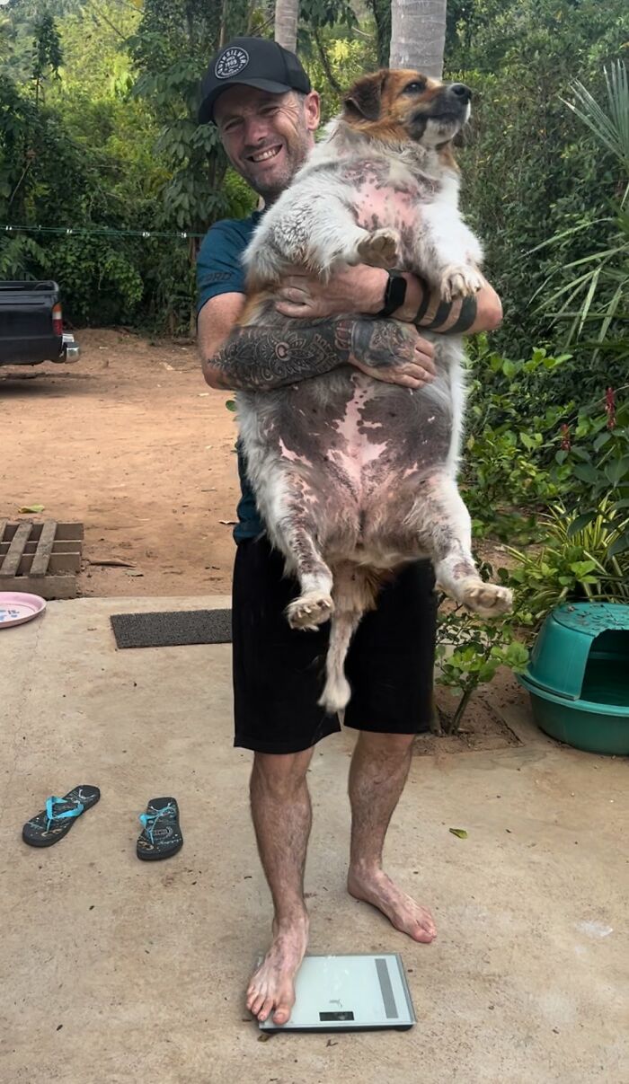 Obese Dog Given Second Chance At Life After Being Rescued From Streets, Undergoes Massive Transformation
