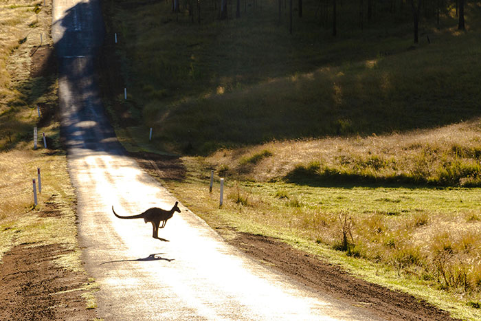 “Your Brain Just Ignores It”: 50 People Share The Most Ridiculous Fact They Know