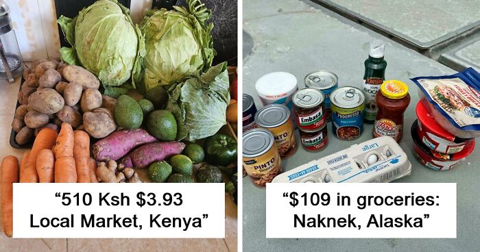 People Are Sharing Their Grocery Hauls To Show How Much Money Can Buy You In 2024 (80 New Pics)