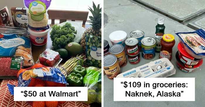 People From The US And Other Countries Show How Much Groceries Cost Where They Live (80 New Pics)