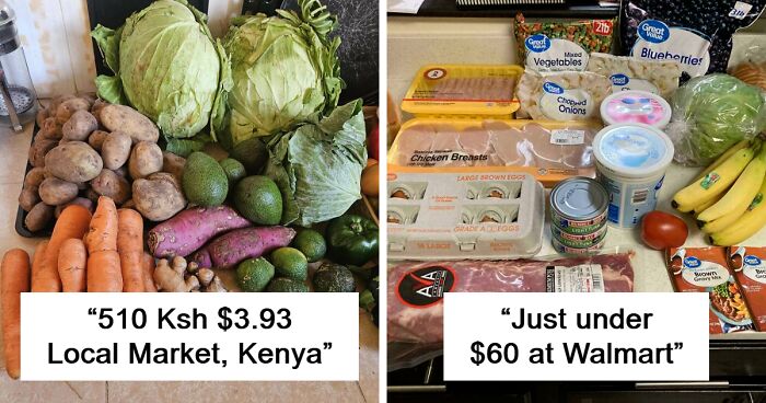 80 Americans Share What They Bought At The Grocery Store And How Much It Cost Them