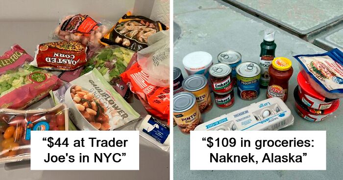 80 Internet Users Share Their (In)Expensive Shopping Carts And Spill The Beans About The Cost