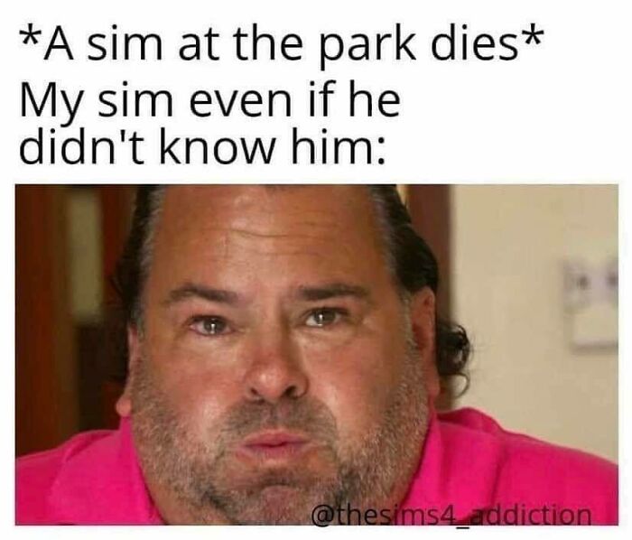 Funny-The-Sims-Memes