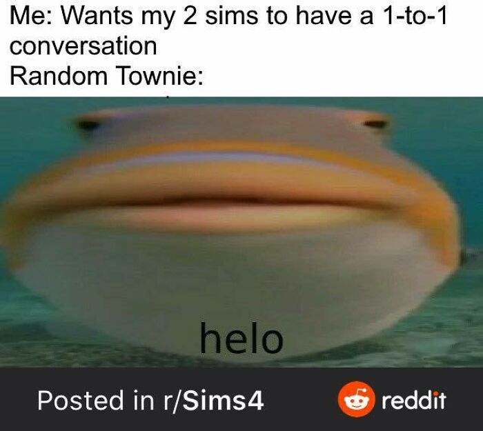 Funny-The-Sims-Memes