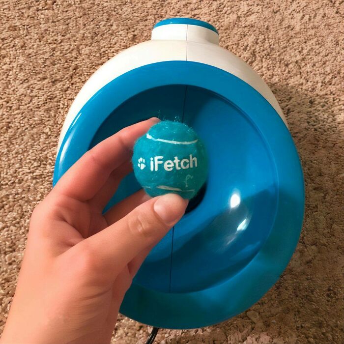 Fetch-Aholic? The Ifetch Automatic Dog Ball Launcher Is Your Dog's New Bff