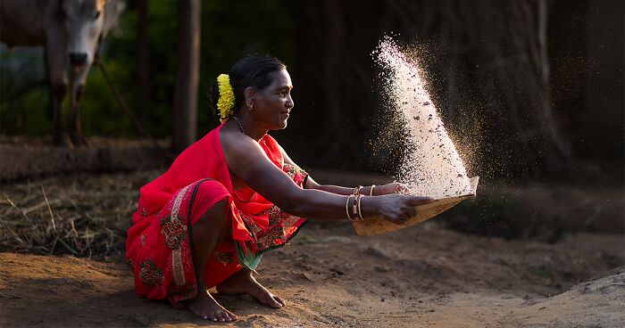 39 Mouth-Watering Pictures By Winners Of The 2024 Pink Lady® Food Photographer Of The Year