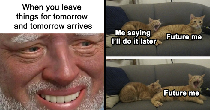 97 Memes To Help You Procrastinate The Day Away