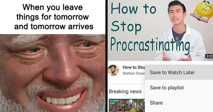 97 Procrastination Memes To Read Instead Of Doing Whatever You're Supposed To Be Doing