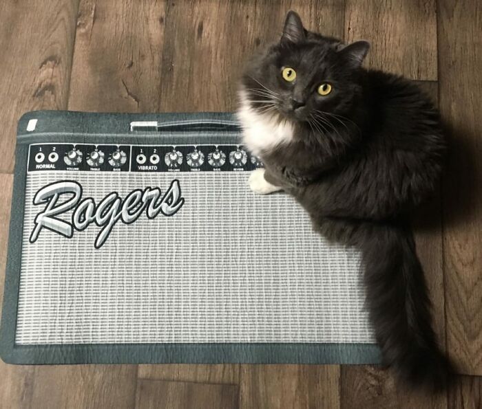 This Personalized Amp Doormat Passes All The Sound Checks